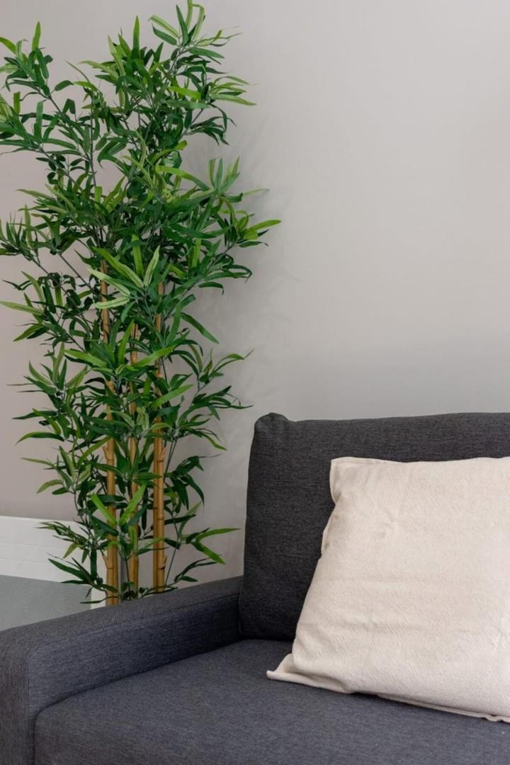 Lille centre - Beautiful 2-room apartment 3 pers Extérieur photo